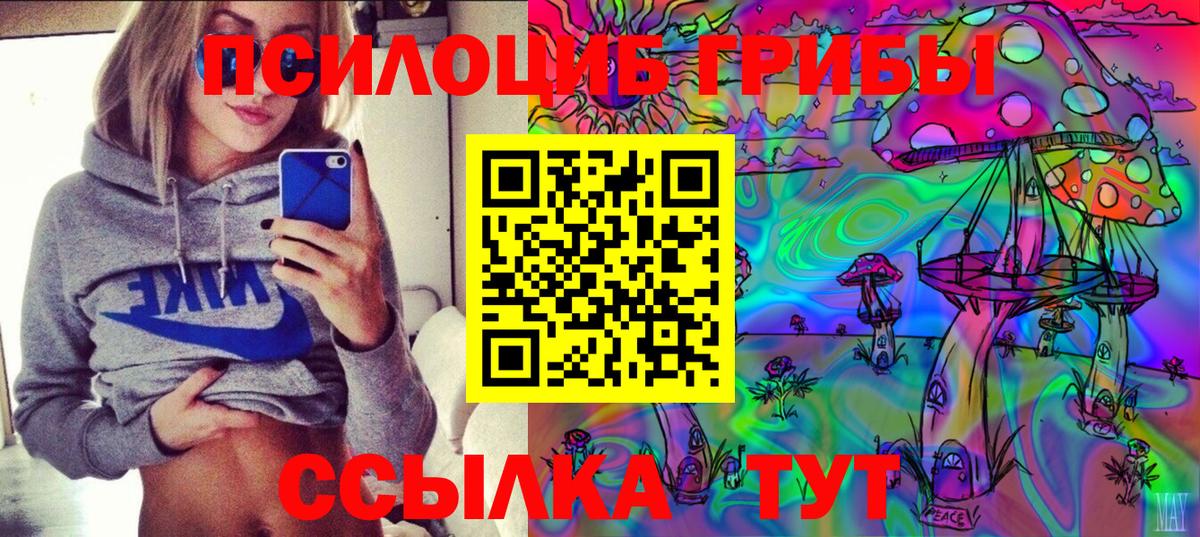 Галлюциногенные грибы Psilocybine cubensis  Галлюциногенные грибы Psilocybe  Тосно  Вход с VPN 