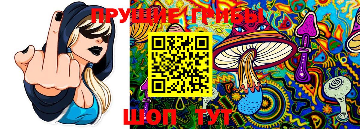 Псилоцибиновые грибы мицелий Тосно