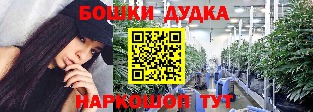 Канабис план  Вход с VPN  Конопля AK-47  Бошки Шишки Bruce Banner  Тосно 